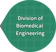 Division of Biomedical Engineering