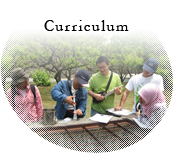 Curriculum