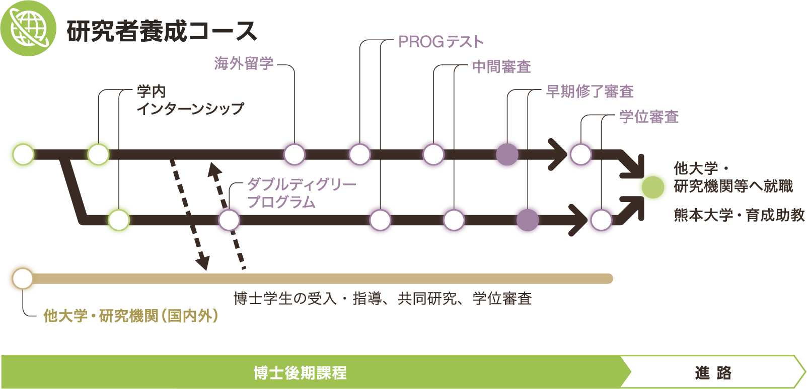 研究者養成コースの図