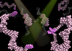 appliedchemistry_en_img01